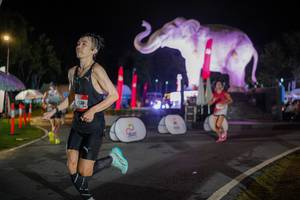 BIB: 
                            <button type="button" onclick="openModal(26552009)" class="btn btn-primary btn-sm float-right btn-popup" data-toggle="modal" data-target=".modal-high-quality">
                        <i class="fas fa-shopping-cart"></i> Add to Cart
                    </button>
                                            <button type="button" onclick="isThisMe(26552009, true)" class="btn btn-success btn-sm float-right btn-popup btn-isme hidden" data-toggle="tooltip" data-placement="bottom" title="นี่คือรูปของคุณใช่ไหม คลิกที่นี่เพื่อเอาเข้าอัลบั้ม">
                        <i class="fas fa-plus"></i> Add to album
                    </button>
                    <button type="button" onclick="isThisMe(26552009, false)" class="btn btn-warning btn-sm float-right btn-popup btn-isnotme hidden">
                        <i class="fas fa-ban"></i> Remove from album
                    </button>